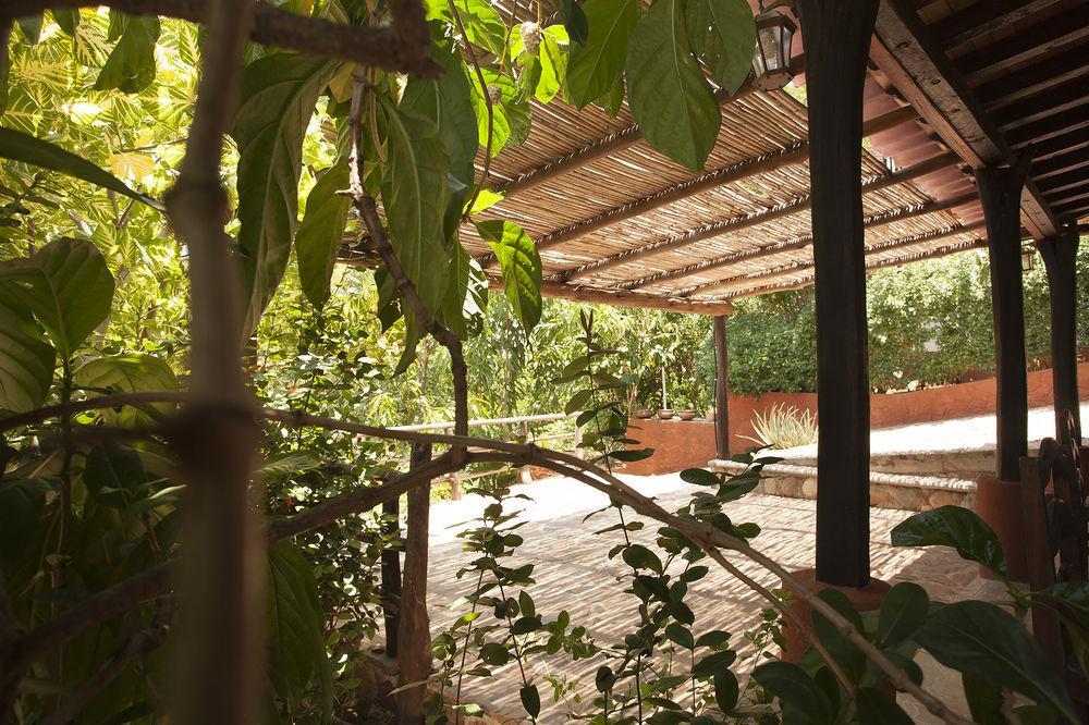 Hotel Casa Huijazoo Nature & Balance Mazunte Exteriér fotografie